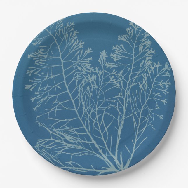 Anna Atkins - Botanic Photography, Vintage Design Paper Plate (Front)