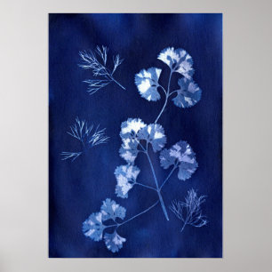 ANNA ATKINS POSTER