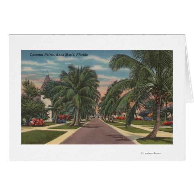 Anna Maria, Florida - View of Palms Along Street (Front Horizontal)