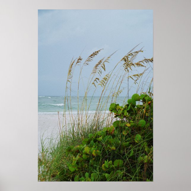 Anna Maria Island, Florida, beach scene Poster (Front)