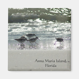 Anna Maria Island, Florida Magnet