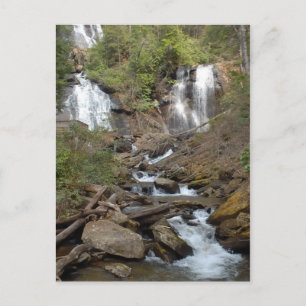 Anna Ruby Falls Georgia Postcard