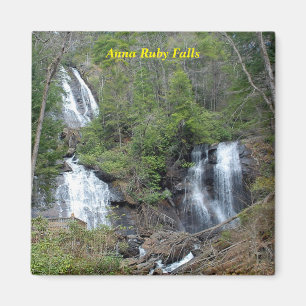 Anna Ruby Falls Magnet