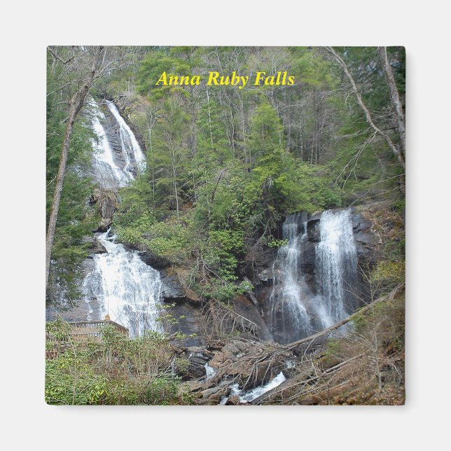 Anna Ruby Falls Magnet (Front)