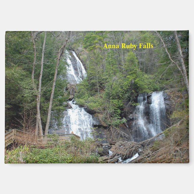 Anna Ruby Falls Magnet (Front)