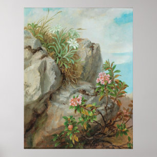 Anna Stainer-Knittel Vintage Alpine Roses Poster