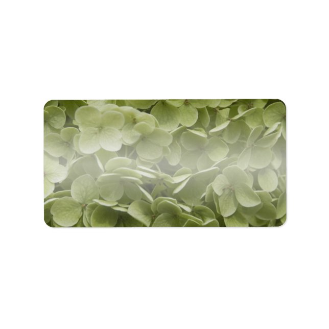 Annabelle Hydrangea Flowers Label (Front)