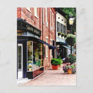 Annapolis MD - Along State Circle Postcard