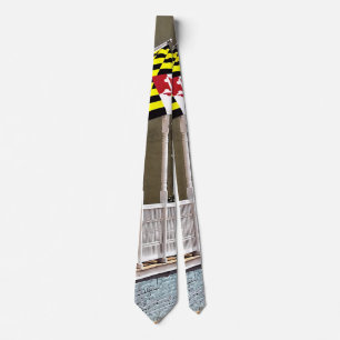 Annapolis MD - Flags Along East Street Tie