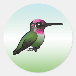 Anna's Hummingbird Classic Round Sticker