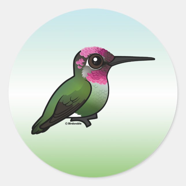 Anna's Hummingbird Classic Round Sticker (Front)