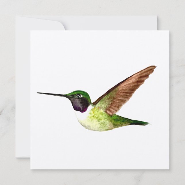 Anna's Hummingbird in Flight Thank You Card (Front)