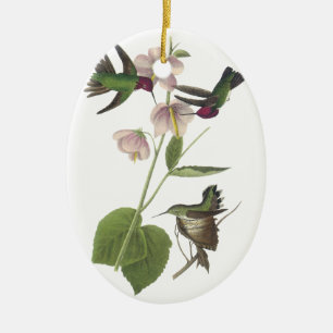 Anna's Hummingbird, James Audubon Ceramic Tree Decoration