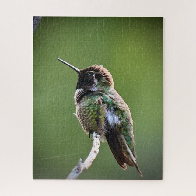 Anna's Hummingbird Jigsaw Puzzle (Vertical)