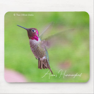 Anna's Hummingbird Mouse Pad