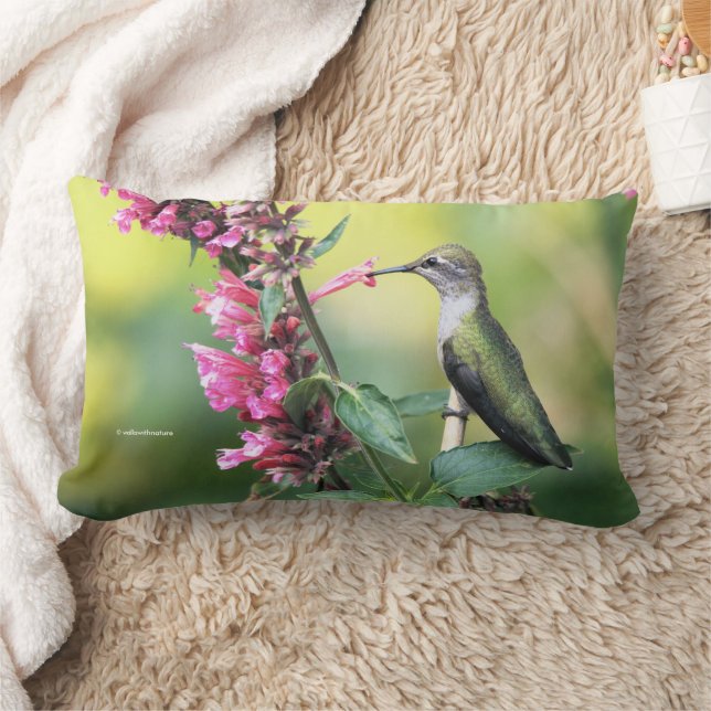 Anna's Hummingbird on Anise Hyssop Flowers Lumbar Cushion (Blanket)