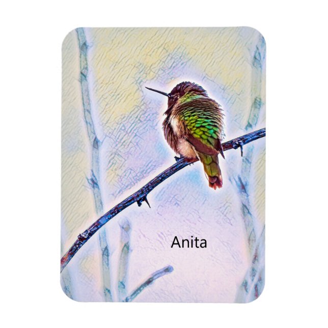 Anna's Hummingbird On Branch Pastel Colours Magnet (Vertical)