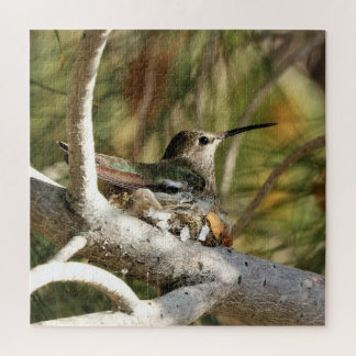 Anna's Hummingbird on Nest Jigsaw Puzzle