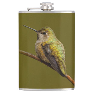 Anna's Hummingbird on Scarlet Trumpetvine Hip Flask