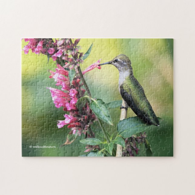 Anna's Hummingbird on the Anise Hyssop Flowers Jigsaw Puzzle (Horizontal)