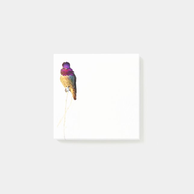 Anna's Hummingbird Photo 3x3 Notepad (Front)
