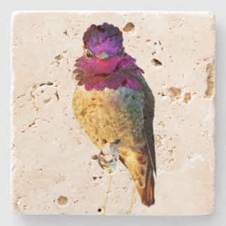 Anna's Hummingbird Pink Bird Photo Stone Coaster