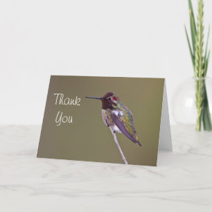 Anna's Hummingbird Thank you Card