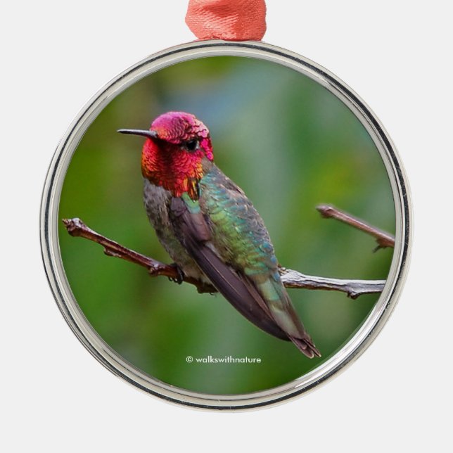 Anna's Hummingbird: This King Wears a Pink Crown Metal Ornament (Front)