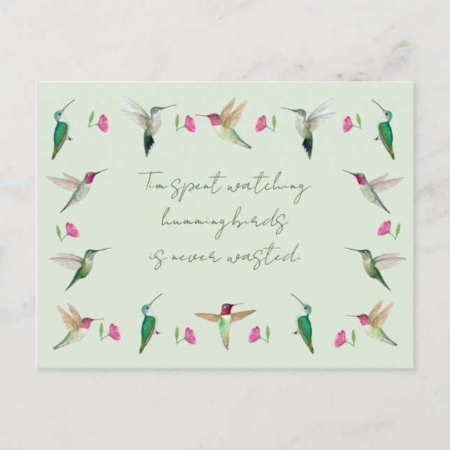 Anna's Hummingbirds  Postcard (Front)