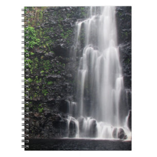 "Anna's Pond" Notebook