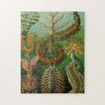 Annelids by Ernst Haeckel Jigsaw Puzzle<br><div class="desc">This masterpiece makes for a wonderful and challenging puzzle! Ernst Heinrich Philipp August Haeckel (German: [ˈhɛkəl]; 16 February 1834 – 9 August 1919) was a German biologist, naturalist, philosopher, physician, professor, marine biologist, and artist who discovered, described and named thousands of new species, mapped a genealogical tree relating all life...</div>