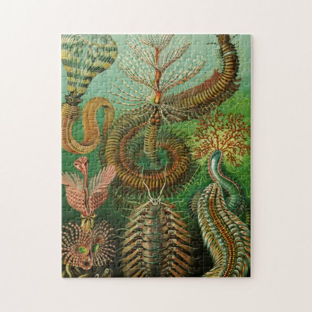 Annelids by Ernst Haeckel Jigsaw Puzzle (Vertical)