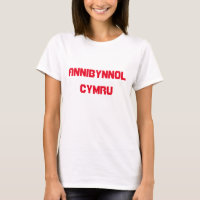 annibynnol Cymru, Independent Wales in Welsh