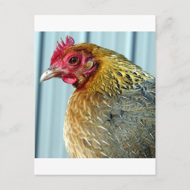 Annie Postcard (Front)