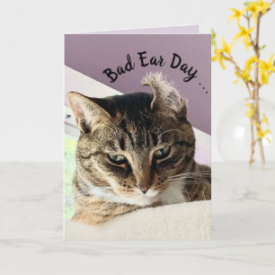 Annie's Bad Ear Day (Cat Greeting Card) Card