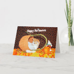 Annie's Basketful of Fun Cat Halloween Card