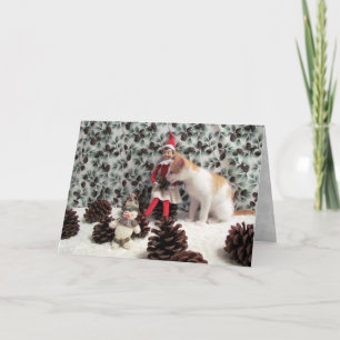 Annie's Elfin' Christmas Card (Cat / Kitten)