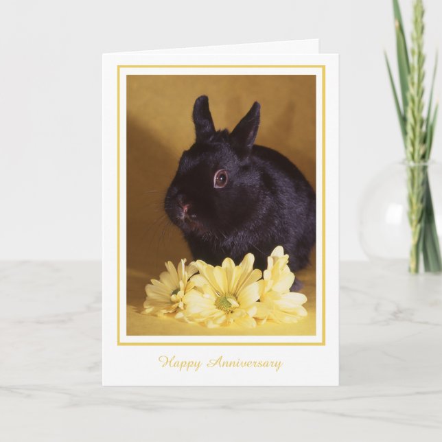 Anniversary - Bunny and Daisies Greeting Card (Front)