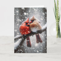 Anniversary Cardinals In a Snowstorm