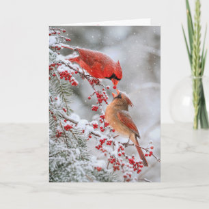 Anniversary  Cardinals with Red Berries in Winter Card