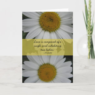 Anniversary--Daisies, Aristotle Quote Card