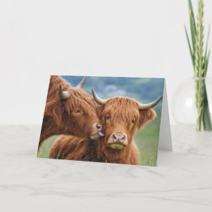 Anniversary Highland Cow Kiss Card