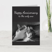 Anniversary Loved One Cat Humour