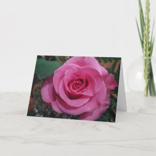 Anniversary of a Death Pink Rose series1 Card