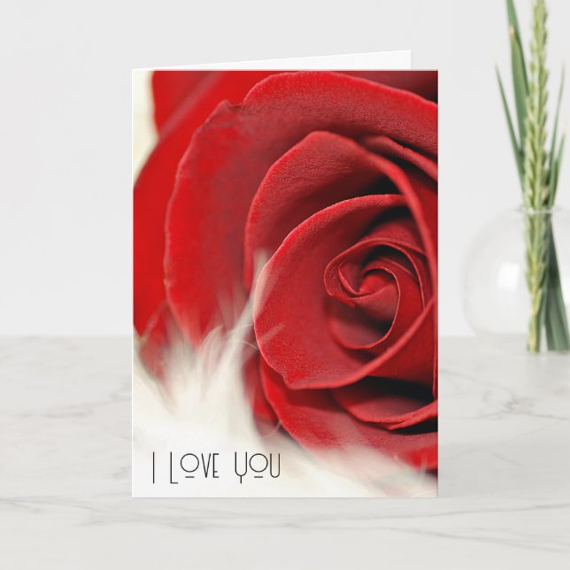 Anniversary Red Rose On Fur  Card (Front)