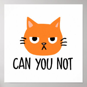 Annoyed Cat CAN YOU NOT Funny Poster