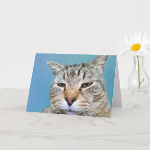 Annoyed Cat Cancer Encouragement Card