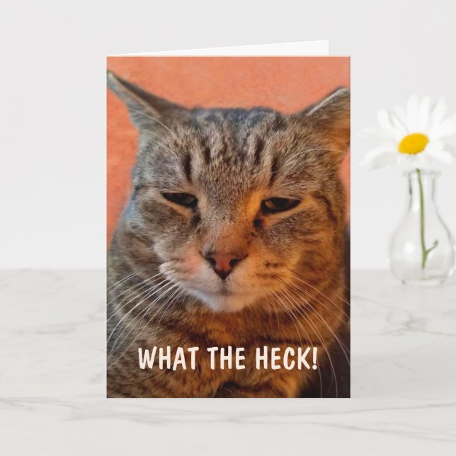 Annoyed Impatient Cat Get Well Card (Small Plant)