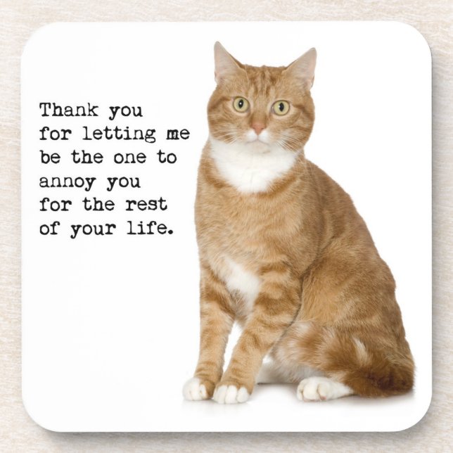 Annoying Cat Coaster (Front)