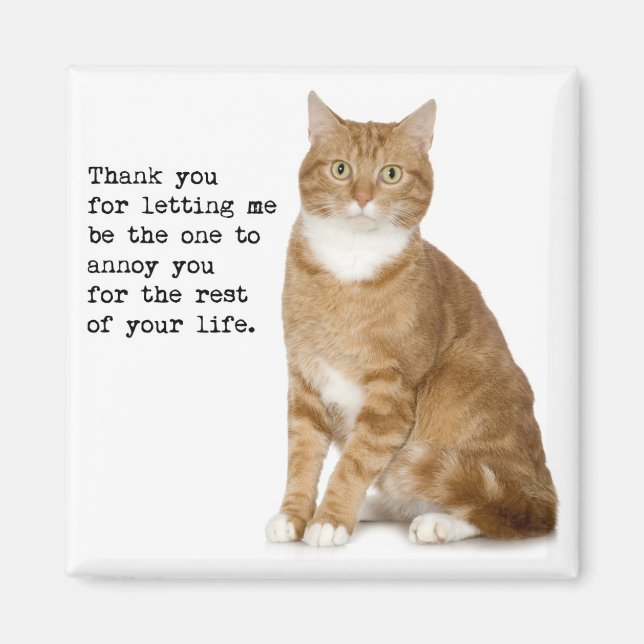 Annoying Cat Magnet (Front)